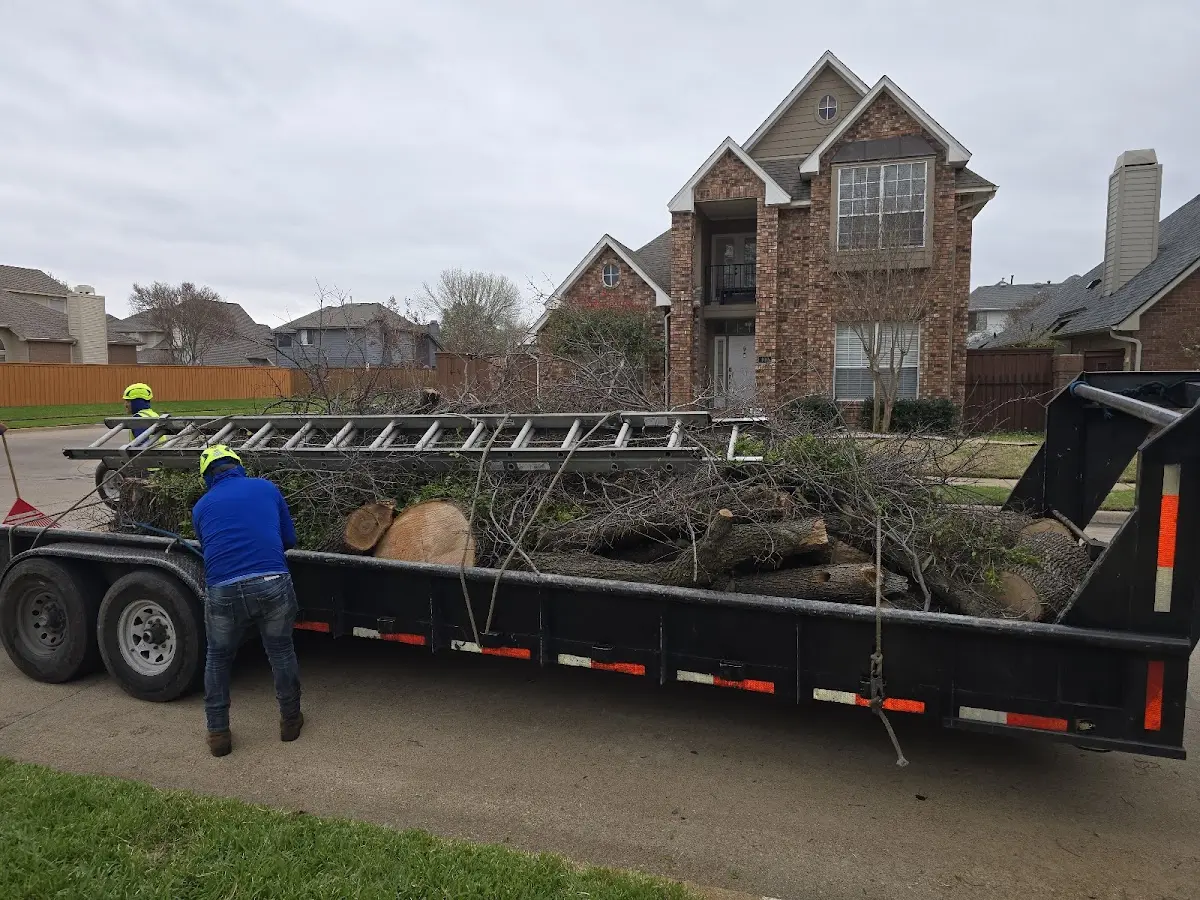 Expert Tree Pest Control with proper safety equipment in Lavaca